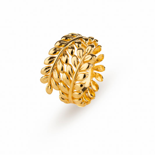 Anillo Stephanos